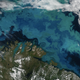 Illustration for article titled This is what a massive plankton bloom looks like from space